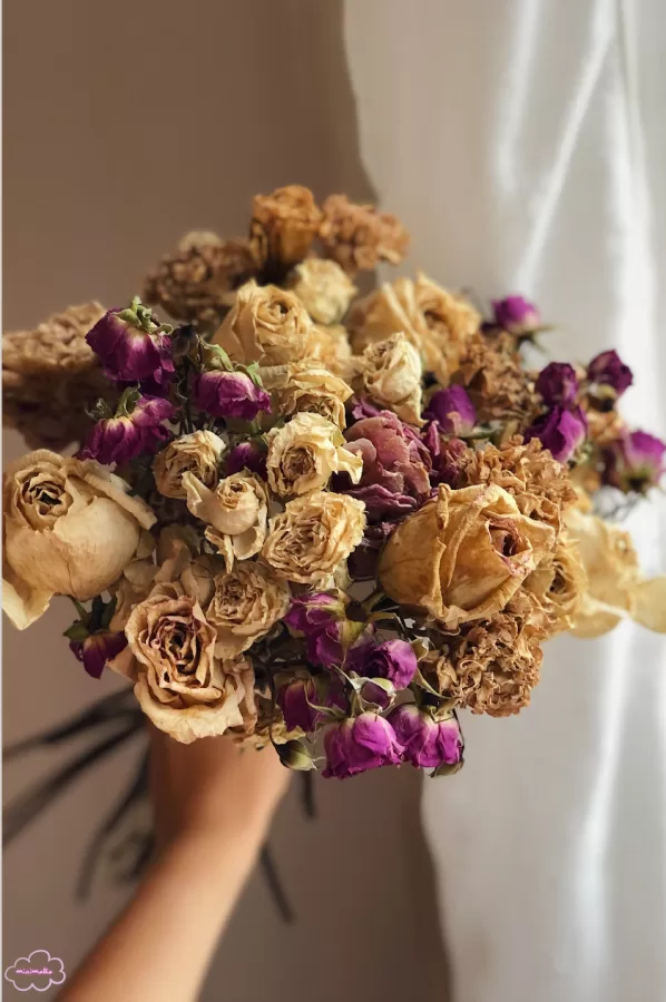 autmn dried flowers